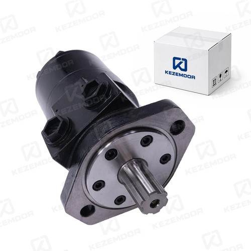 Motore idraulico 1011078009