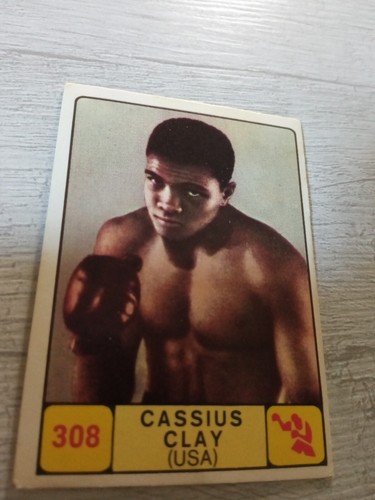 Figurine panini campioni dello - figurine,